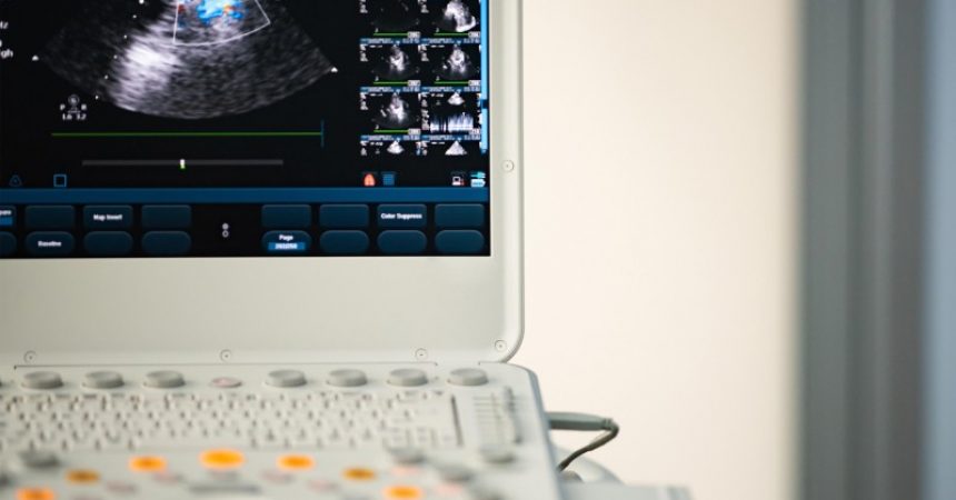 Benefits of Purchasing a Portable Veterinary Ultrasound in North Charleston