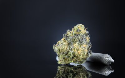 Learn how medical marijuana NYC can provide natural relief for chronic pain and anxiety